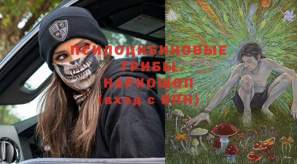 Альфа ПВП Алексин